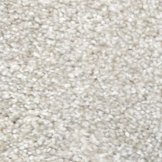 SHAW PLUSH CARPET